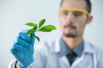 Deep dive into herbs | Tick Immune Formula