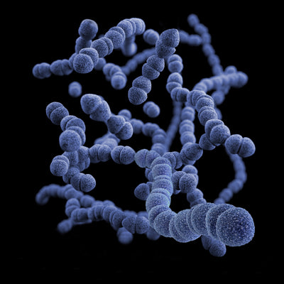 What are Biofilms? How to Remove and Prevent Them
